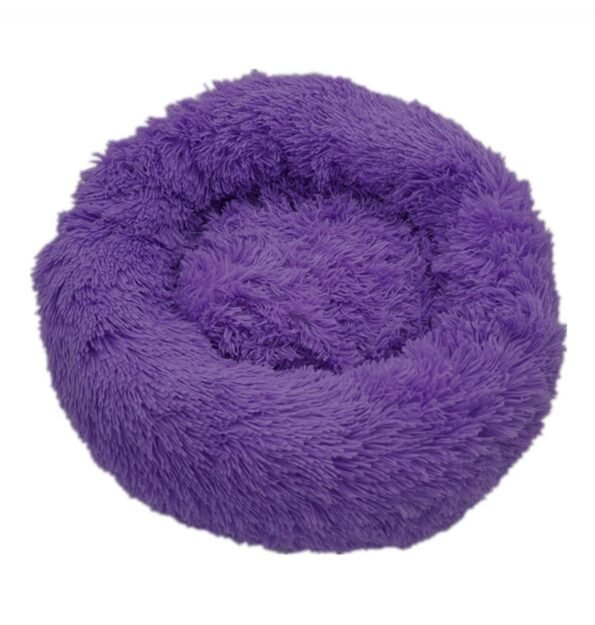 pet bed purple